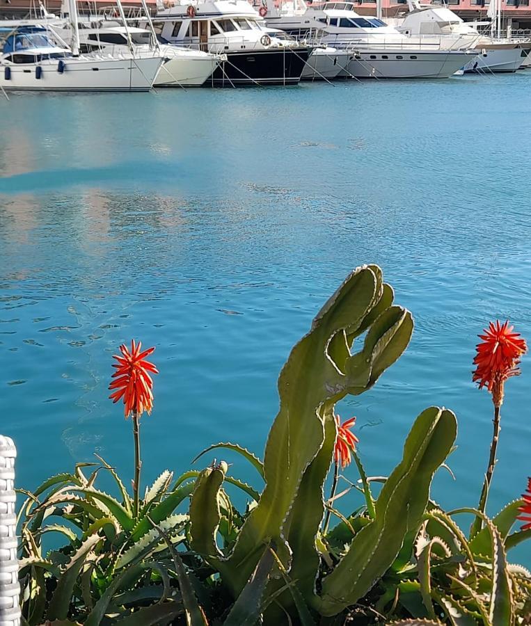 Hotel Glicine Noli Dış mekan fotoğraf