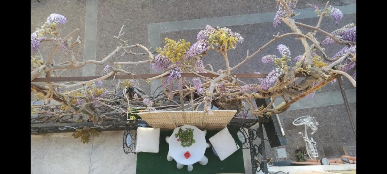 Hotel Glicine Noli Dış mekan fotoğraf